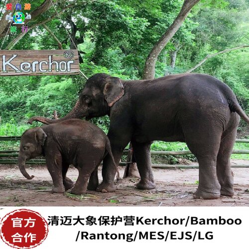 清迈竹筏大象保护营