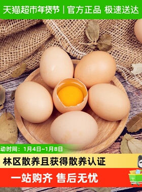 九华粮品散养土鸡蛋50枚净重1900g农家散养鲜草鸡蛋柴鸡蛋月子蛋