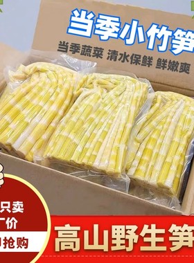竹笋新鲜春笋清水笋罗汉笋无笋衣小竹笋尖雷笋野山笋火锅笋批发