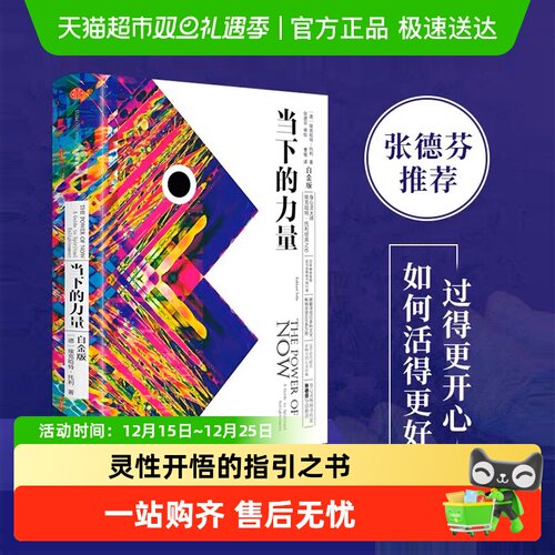 当下力量新版自我实现成功励志