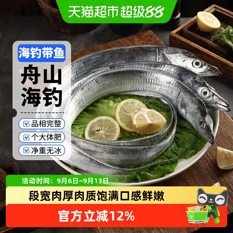 赫敏舟山海钓带鱼图片