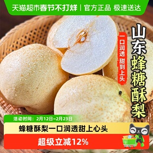 山东蜂糖酥梨新鲜应季无渣鲜梨香甜多汁时令鲜梨