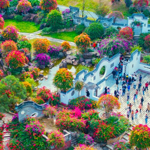 [马岭观花植物园-大门票]马岭观花植物园门票