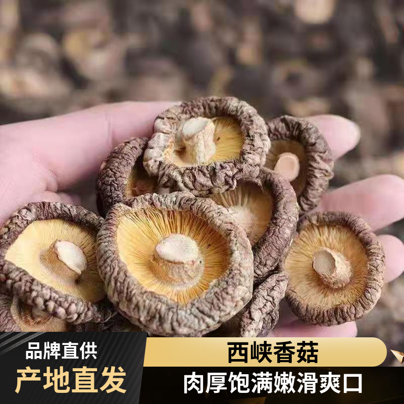 新货西峡香菇净重发货大香菇肉厚香味浓郁散装干货餐饮商用,粮油调味/速食/干货/烘焙,香菇类,淘宝优惠券,粉丝福利购,淘宝优惠卷
