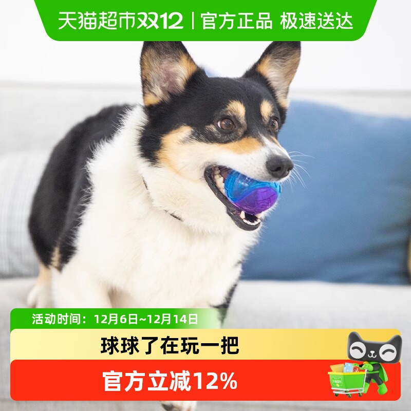 贵为发声宠物柯基泰迪金毛玩具