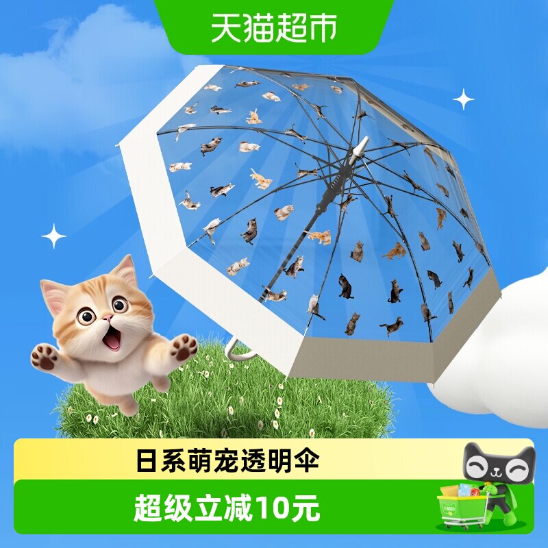 天玮伞业日系网红氛围感透明雨伞猫狗萌趣伞高颜值男女长柄伞