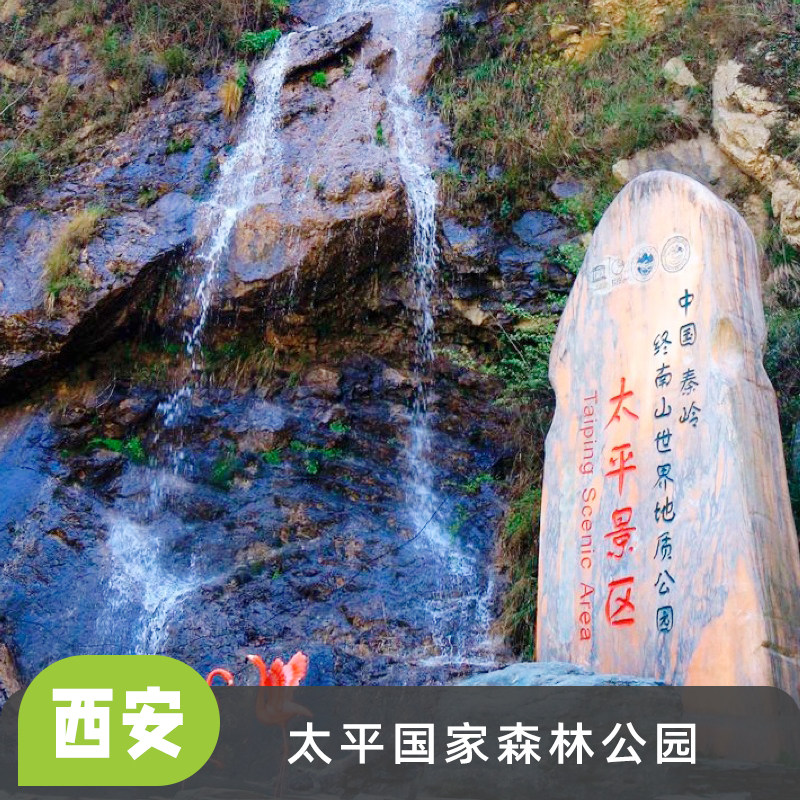 [太平国家森林公园-大门票]刷二维码入园