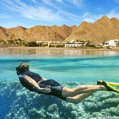 埃及包车全境开罗包车阿斯旺卢克索包车(24小时中文管家服务)