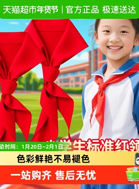 【开学季】得力纯棉涤纶红领巾别针磁扣少先队小学生少先队员队徽