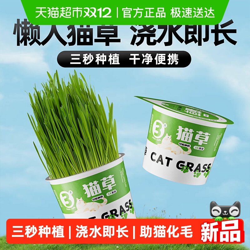 瓜洲牧懒人猫草罐猫草盆栽化毛草