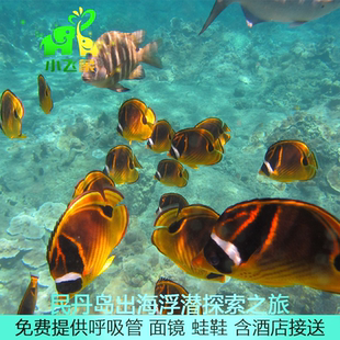 民丹岛白沙岛出海浮潜旅游活动含接送中文服务可搭配红树林蓝湖