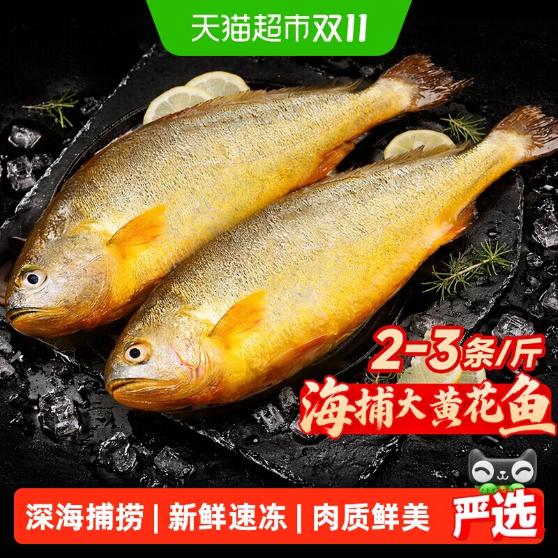 大黄花鱼新鲜冷冻野生深海大黄鱼整条特大海鱼生鲜水产鲜活