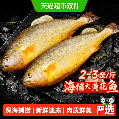 其他大黄花鱼深海冷冻刺少肉多
