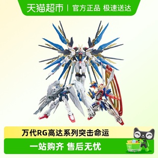 万代RG突击自由强袭命运正义飞翼强化红异端高达拼装 模型