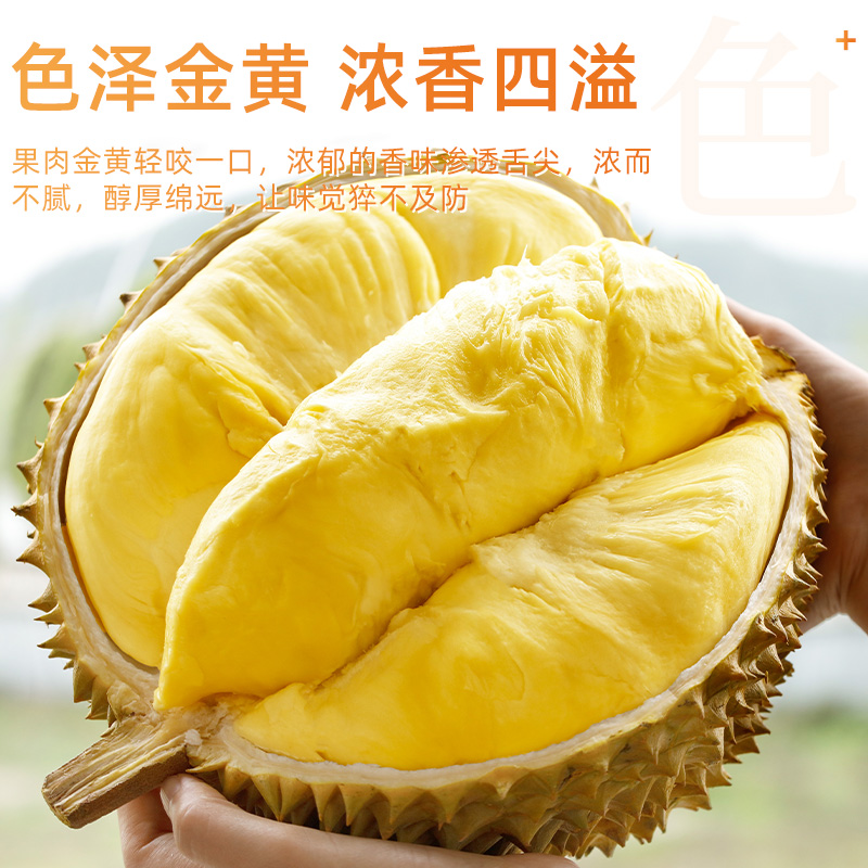 正宗泰国金枕榴莲新鲜顺丰包邮榴莲鲜果一级带壳整箱应季水果