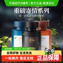 仆旅车载香薰香水2025新款 饰品摆件去除异味香氛 男士 汽车内高级装