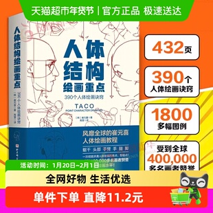 人体结构绘画重点人体绘画 崔元喜 TACO人体 动画人体结构