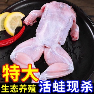 牛蛙新鲜冷冻牛蛙用青蛙肉餐饮火锅烧烤食材生鲜批发半成品商用