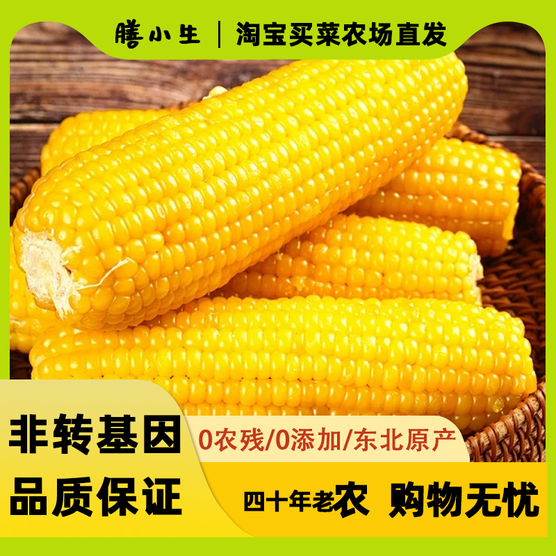 新东北黄糯玉米棒真空包装低脂早餐新鲜粘糯玉米非转基因包邮