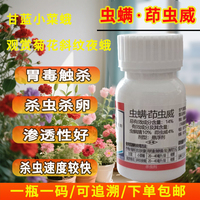 蛤蟆王14%勇冠蟲螨腈茚蟲威農作物蔬菜花卉殺蟲殺卵小菜蛾斜紋夜蛾殺蟲劑