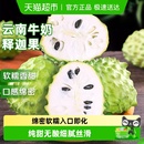 寻天果蔬 正宗凤梨牛奶释迦果新鲜释迦尼佛头果冰淇淋番荔枝特大