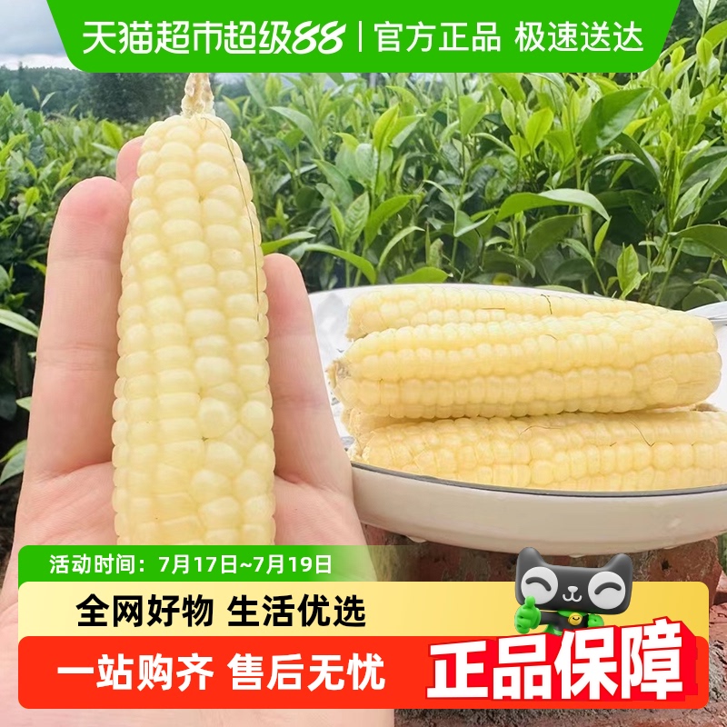 胡鲜森新鲜当季嫩甜糯玉米
