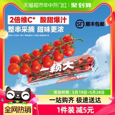 一颗大串番茄198g×4盒