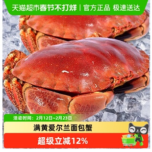 面包蟹超大母帝王蟹鲜活熟冻大螃蟹新鲜海蟹海鲜水产黄金蟹珍宝蟹
