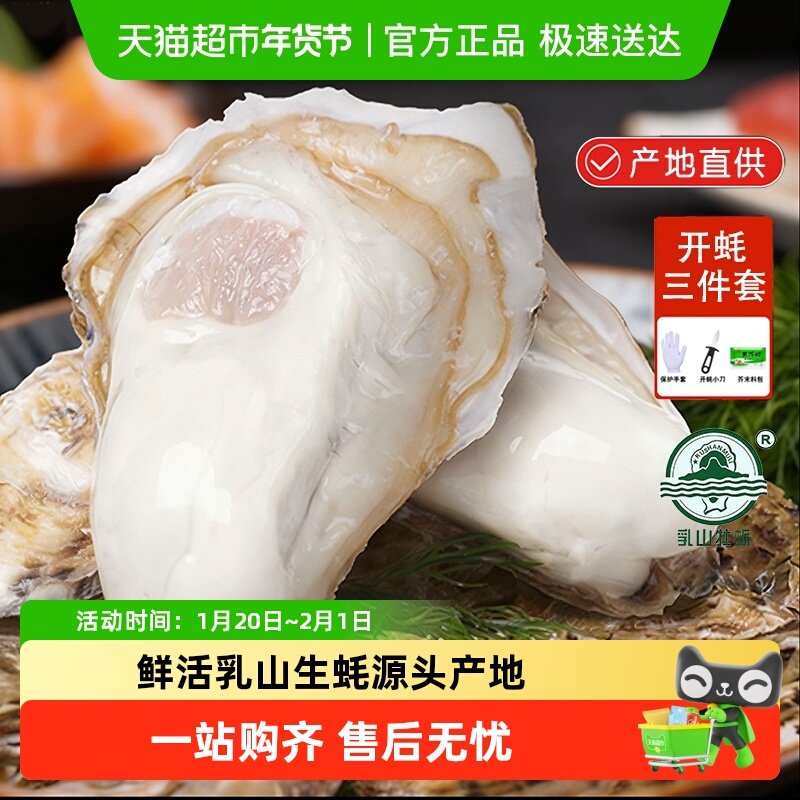 乳山牡蛎乳山生蚝3XL威海 海鲜鲜活大号海蛎子餐饮烧烤源头产地,水产肉类/新鲜蔬果/熟食,生蚝,淘宝优惠券,粉丝福利购,淘宝优惠卷