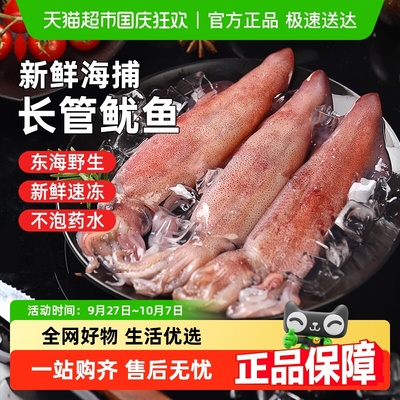 遇上鲜鲜活冷冻海鲜鱿鱼