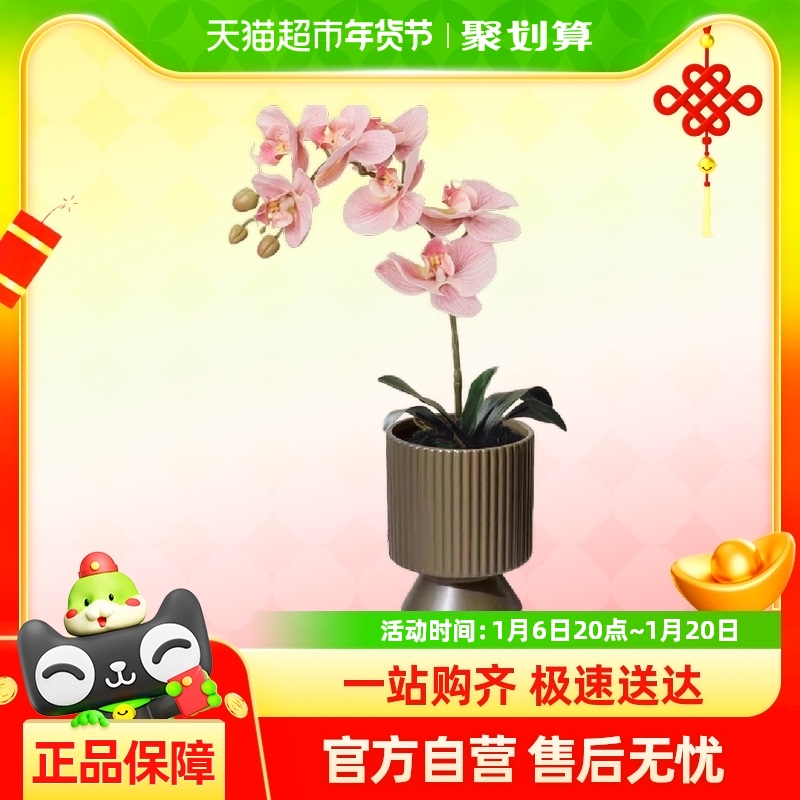 ߶˺鷿Ұ칫ڼװָдٻҾӺ89.4Ԫ(88VIP 95)