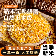 东北大碴子包邮正宗当季新粮农家杂粮低脂粗粮中粒玉米碴