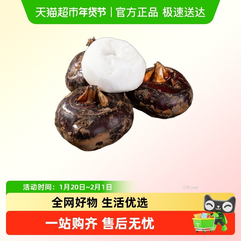 2026新鲜马蹄荸荠装当季水果蔬菜脆甜爽口地栗带泥发货现挖现发,水产肉类/新鲜蔬果/熟食,菱角,淘宝优惠券,粉丝福利购,淘宝优惠卷