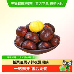 沂蒙板栗生新鲜栗子山东板栗油栗子鲜板粟现摘2025年