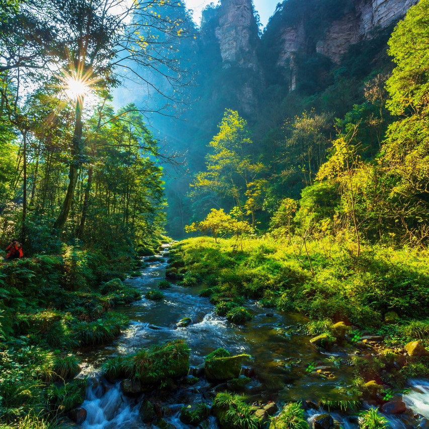 【李佳琦直播间】张家界天门山湘西永顺芙蓉镇5日私家团