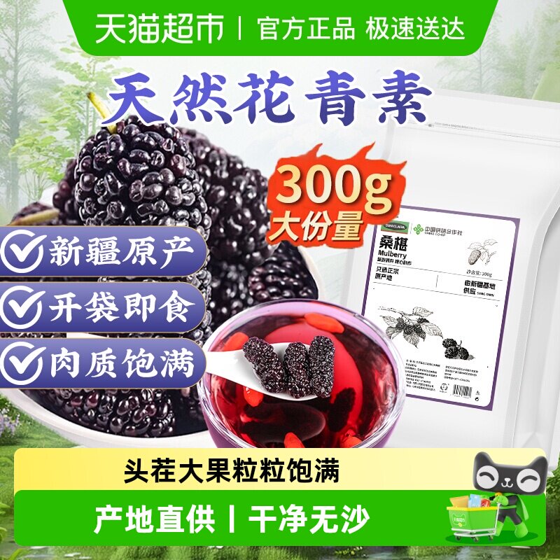 新疆黑桑葚桑椹茶搭黑枸杞红枣泡水当季新鲜非特级桑葚