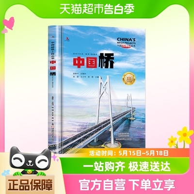 中国 工程丛书 中国桥 青少年建筑科普儿童百科全书大百科小学生