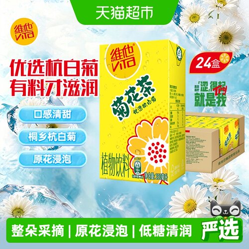 维他菊花茶植物饮料夏日饮品