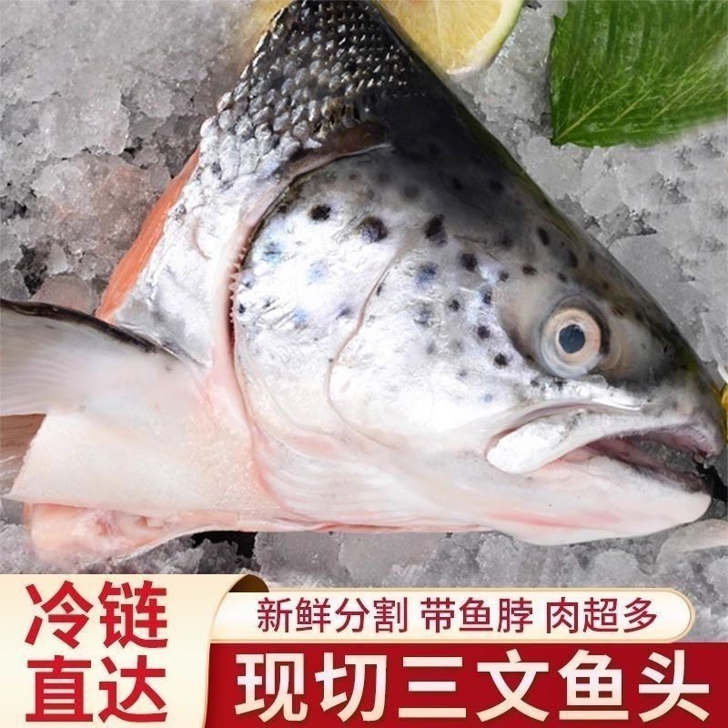 新鲜生鲜三文鱼头鳃红眼亮速冻发货冷冻批发商用鱼肉三文鱼头碎肉,水产肉类/新鲜蔬果/熟食,三文鱼,淘宝优惠券,粉丝福利购,淘宝优惠卷