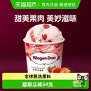 进口哈根达斯奶油冰淇淋草莓味392g