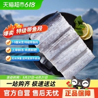 帶魚新鮮冷凍刀魚段中段無冰特級(jí)大號(hào)東海小眼帶魚海魚商用整箱