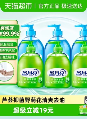 蓝月亮家用瓶装洗手液芦荟抑菌+野菊花洁净滋润500g*6瓶