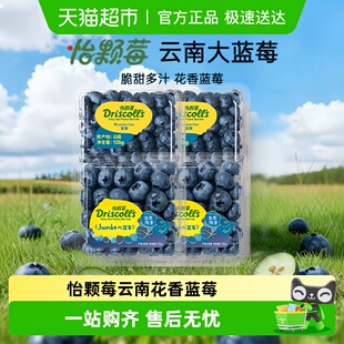 时令中大果 Driscolls怡颗莓蓝莓新鲜水果云南应季 云南上新