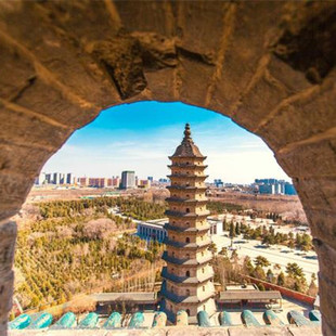 山西博物院 纯玩 双塔寺一日游 上门接 含门票 太原晋祠博物馆