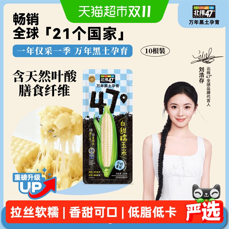 北纬47度新鲜香甜软糯白甜糯玉米