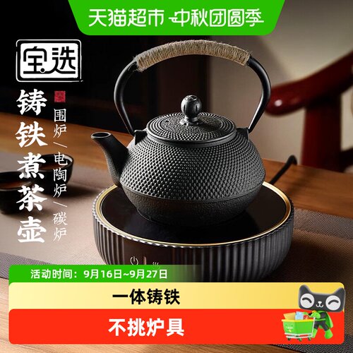 PAKCHOICE宝选铸铁茶壶围炉煮茶
