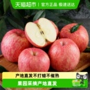 陕西洛川红富士苹果正宗苹果新鲜水果当季 整箱
