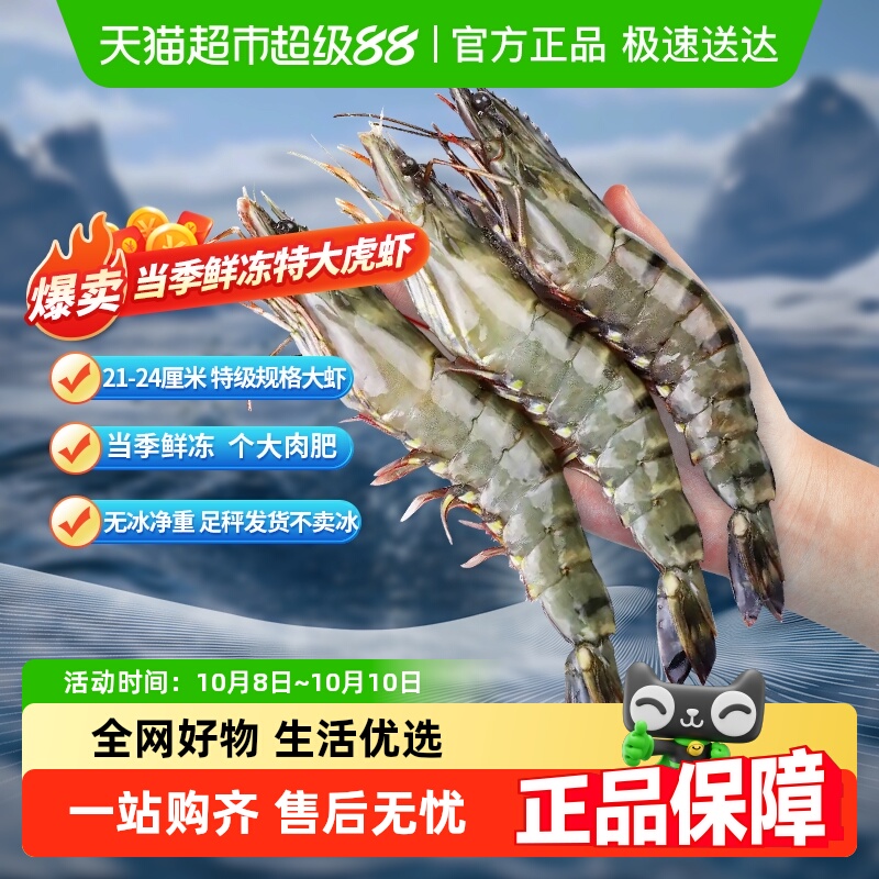 渔游记特大新鲜速冻黑虎虾