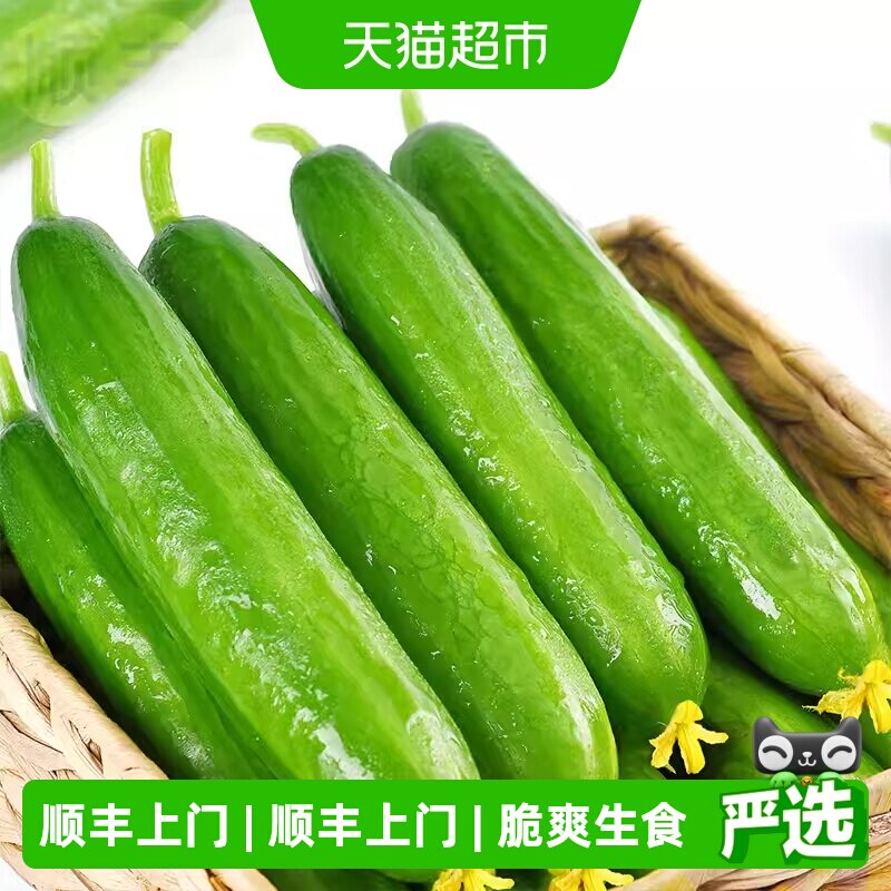 顺丰上门【瓜憨憨】新鲜水果黄瓜脆爽生食脆嫩可口营养丰富健康 水黄实拍商品图