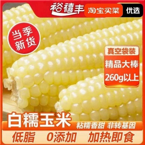 东北白糯玉米正宗粘玉米粗粮玉米新鲜糯玉米大棒真空装头茬新玉米